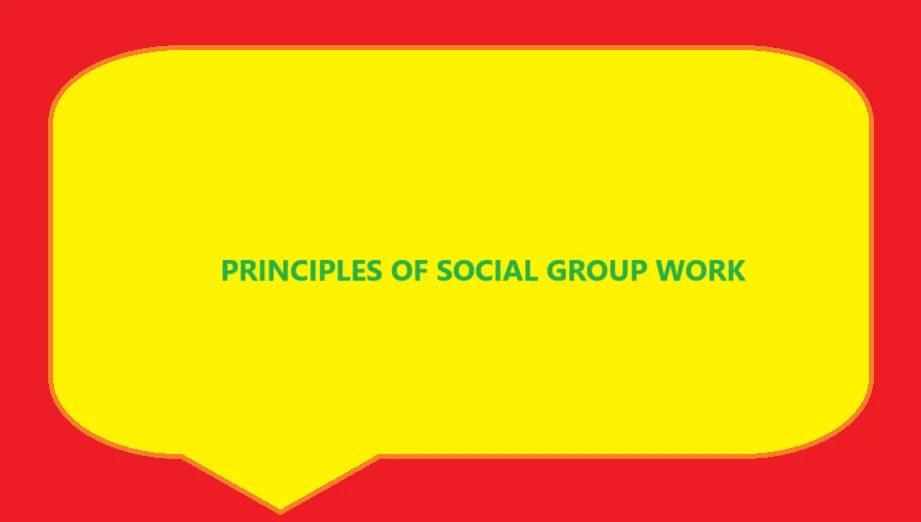PRINCIPLES OF SOCIAL GROUP WORK